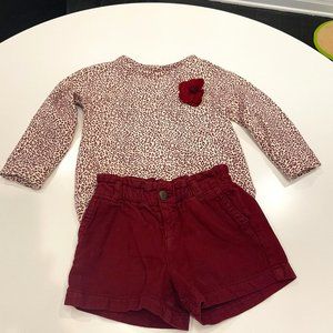 Zara Girls Soft Collection Shorts Set